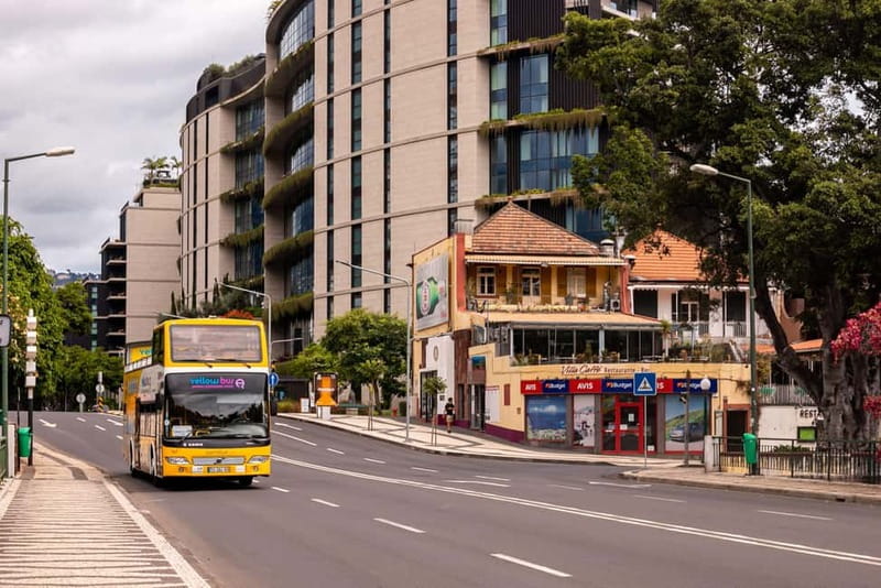 Funchal:Hop-on Hop-off Bus & Whale & Dolphin boat Excursion - Who This Works For (and Who Should Rethink)
