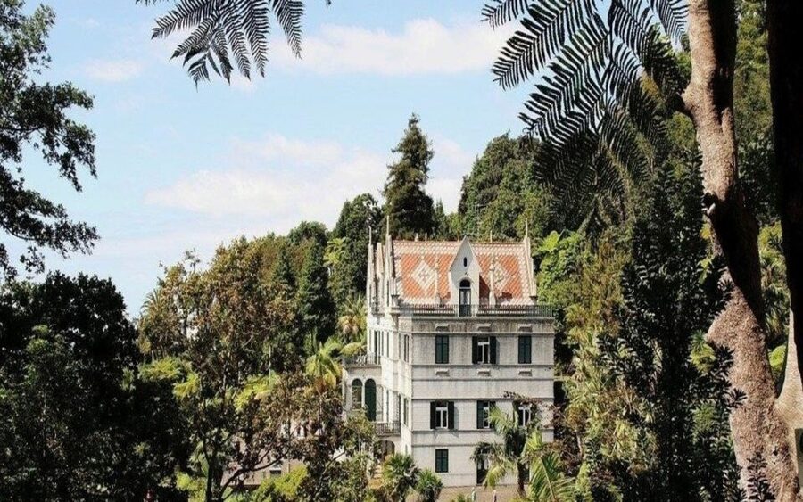 Funchal: Monte Palace Tropical Gardens Tuk Tuk Tour - The Viewpoint Moment: Why It Sets Up the Whole Day