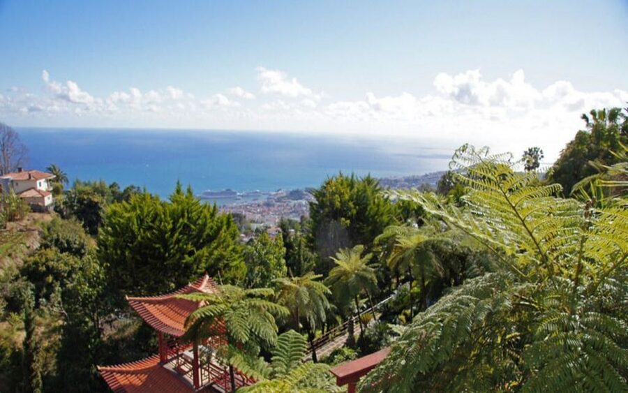 Funchal: Monte Palace Tropical Gardens Tuk Tuk Tour - Tuk Tuk Pickup and the Hills of Funchal
