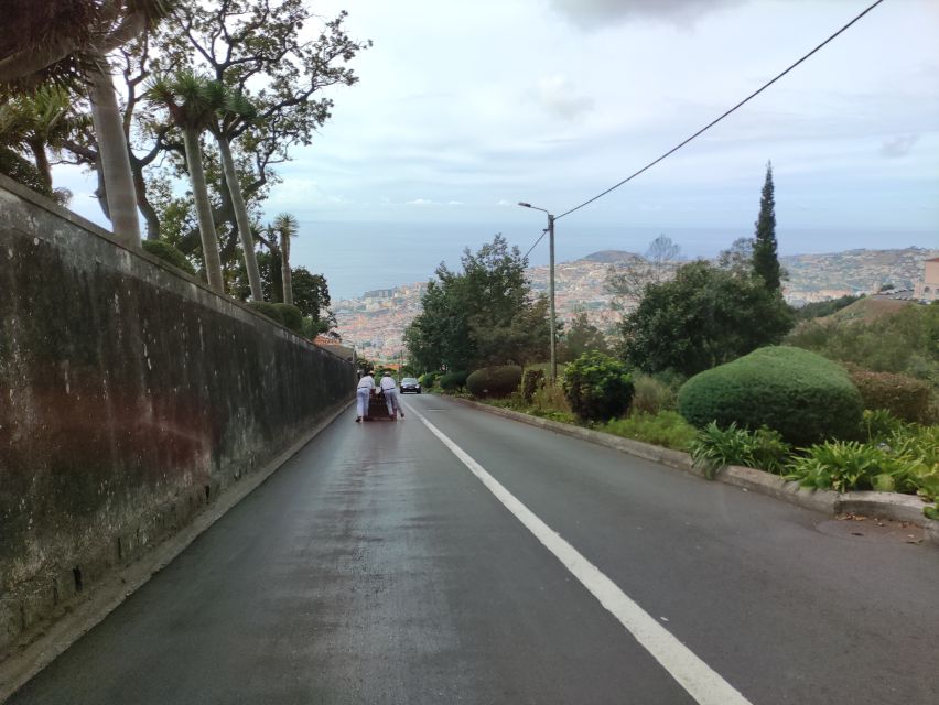 Funchal: Monte Toboggan and Old Town Tour by Tuk-Tuk - Climbing to Monte: 20 minutes of uphill scenery and altitude views