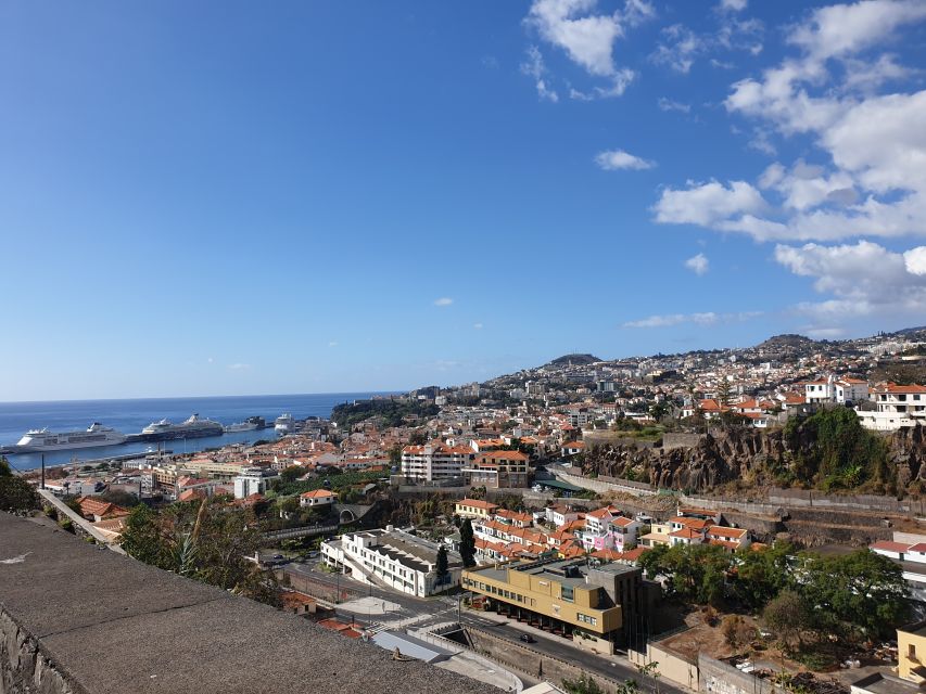 Funchal: Monte Toboggan and Old Town Tour by Tuk-Tuk - The basket cart descent: your two kilometer thrill, with rules you should know