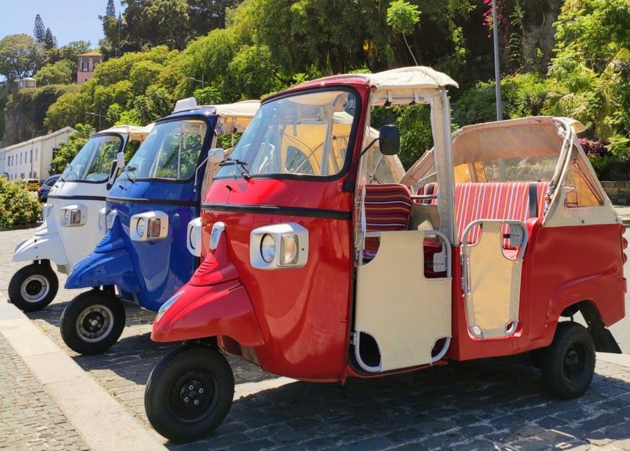 Funchal: Monte Toboggan and Old Town Tour by Tuk-Tuk - Price and value: your $47 tour plus the 17.5€ basket cart ticket
