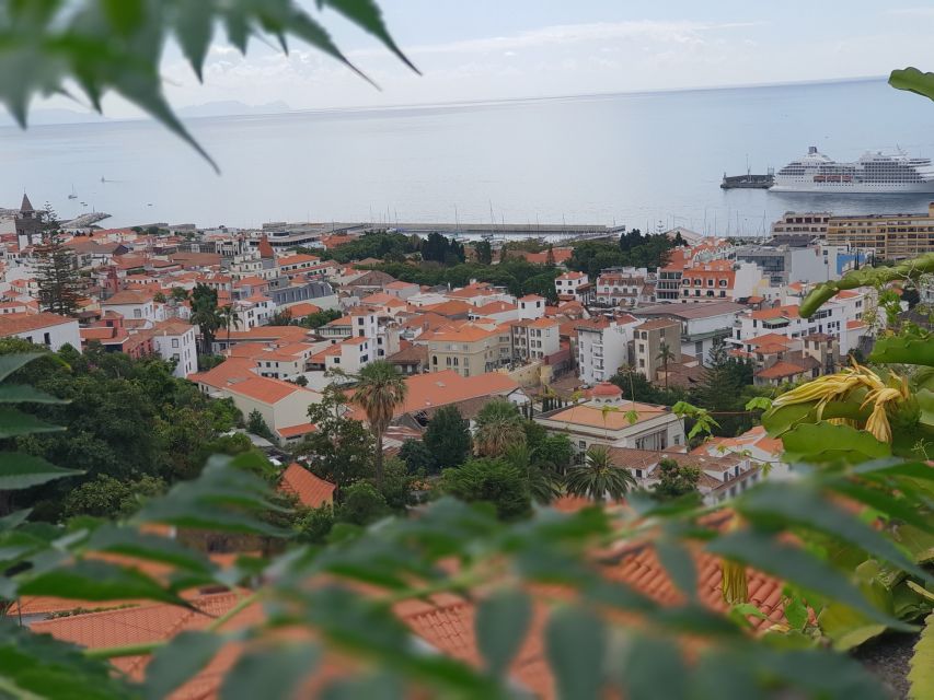 Funchal: Monte Toboggan and Old Town Tour by Tuk-Tuk - What’s included, what isn’t, and how that affects your day