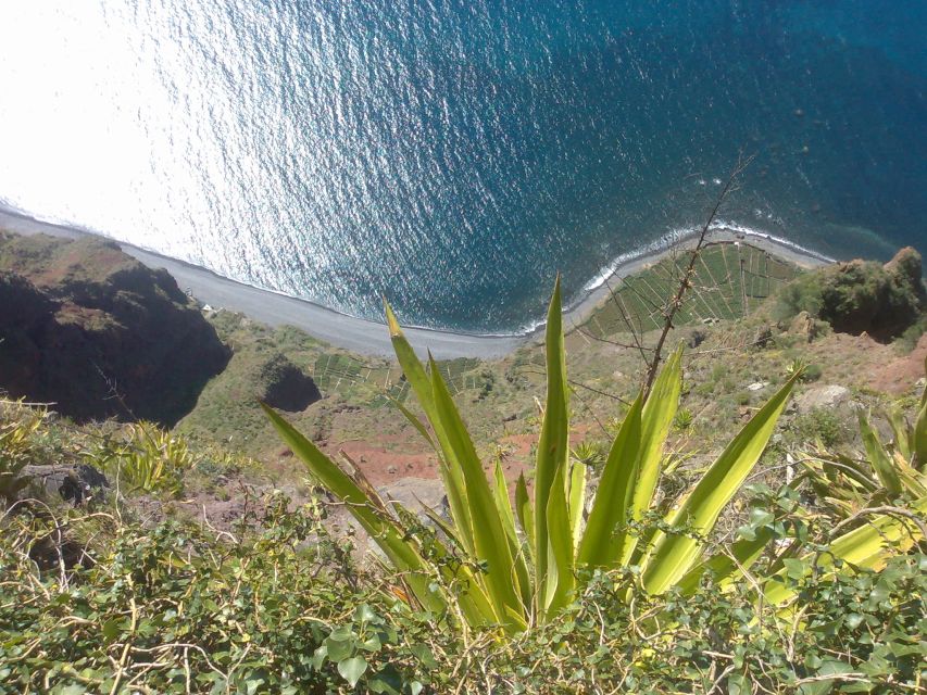 Funchal: Nuns Valley Half Day Tour - Who this tour fits best