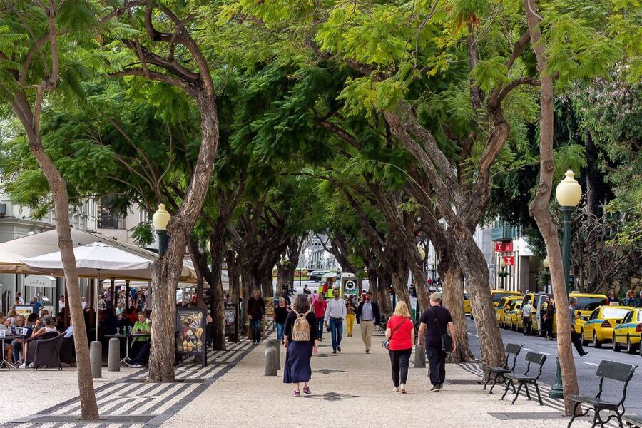 Funchal: Old Town Walking Tour - Key things I’d plan around before you go