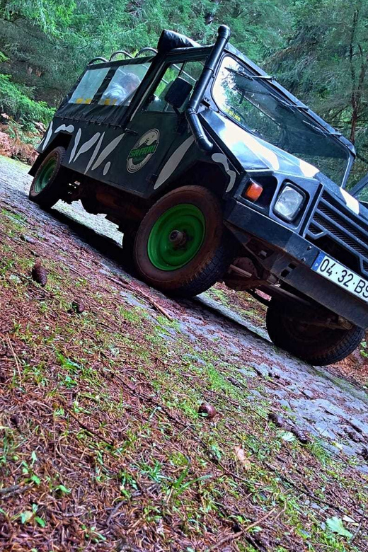 Funchal: Pico do Areeiro to Santana 4x4 East Tour - Santana Lunch, Triangle Houses, and a Little Time to Browse