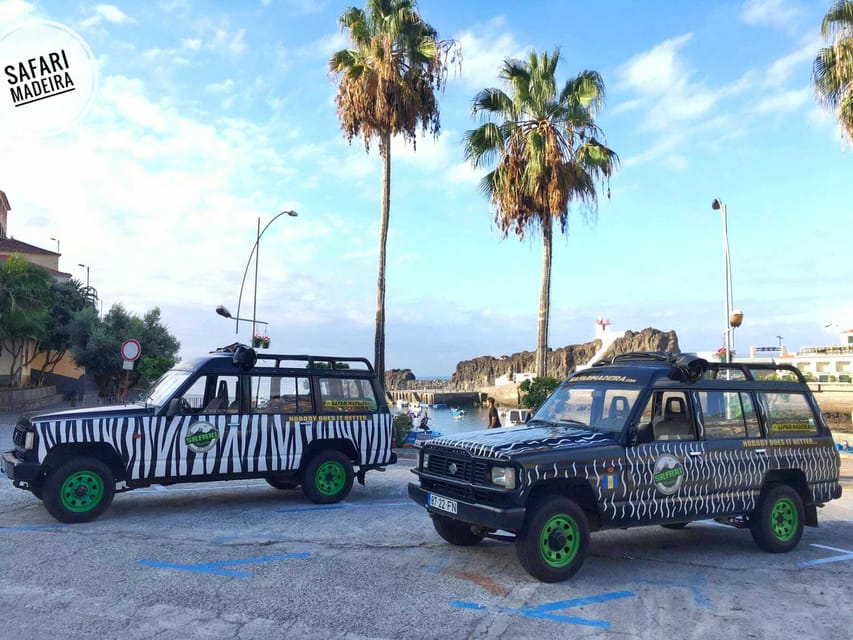 Funchal: Pico do Areeiro to Santana 4x4 East Tour - Price and Value: Is $73 Worth a Full Day of Jeep, Walk, and Stops?