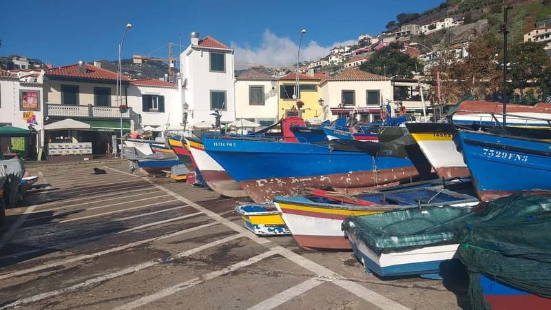 Funchal Private 4-Seater VIP Mercedes / 8-Seater Minibus - The guide is the real upgrade, not just the driving