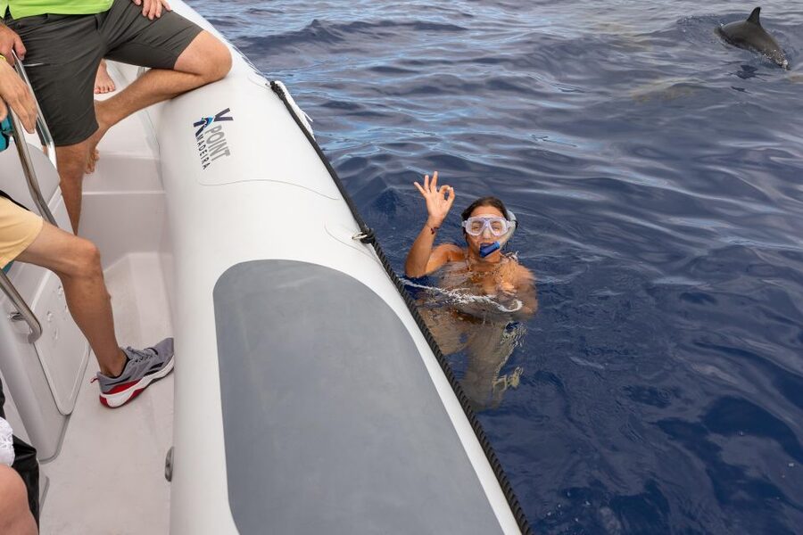 Funchal: RIB Whale Watching Cruise and Optional Dolphin Swim - Key Things I’d Zoom In On Before You Go