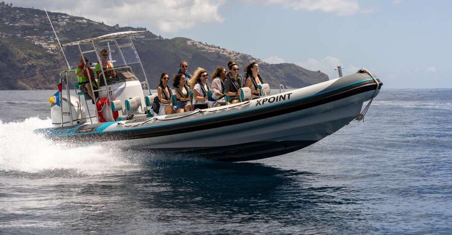 Funchal: RIB Whale Watching Cruise and Optional Dolphin Swim - The Wildlife Search Off Madeira: Dolphins, Whales, and the Reality of Waiting