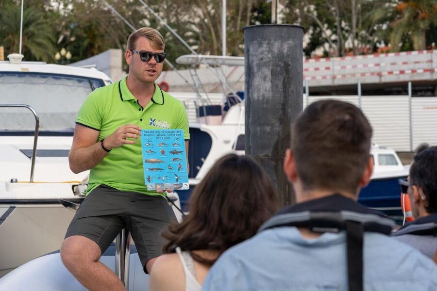 Funchal: RIB Whale Watching Cruise and Optional Dolphin Swim - How Long You’ll Be Out (and How to Time It With Your Day)