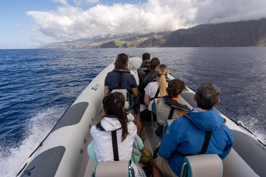 Funchal: RIB Whale Watching Cruise and Optional Dolphin Swim - What to Bring for a Windy RIB Day (So You Don’t Feel Miserable)