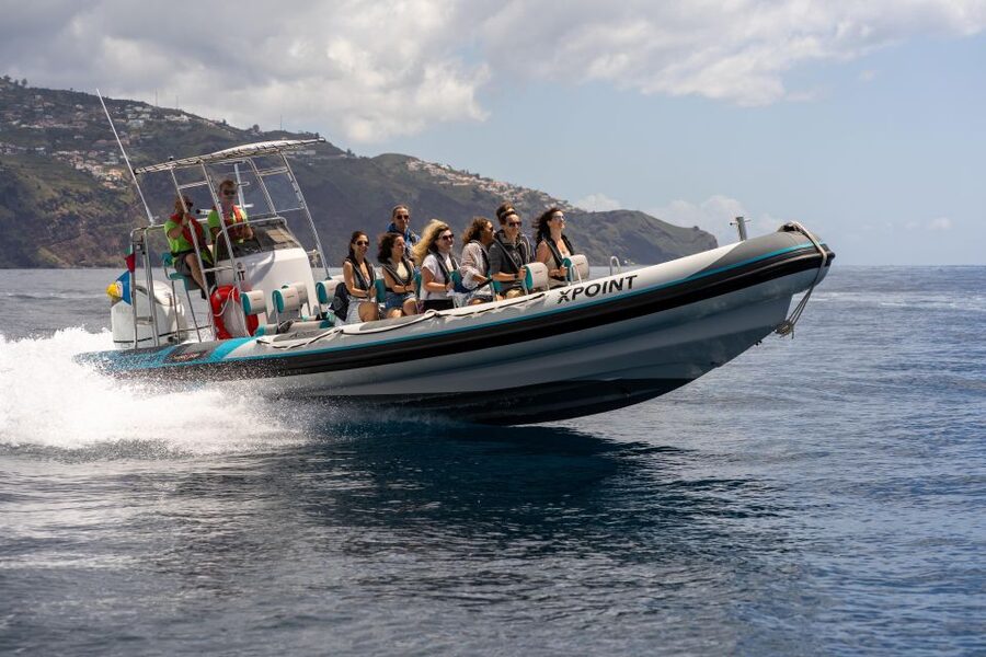 Funchal: RIB Whale Watching Cruise and Optional Dolphin Swim - Getting on Board at Funchal: Life Jackets, Safety Briefing, and a Fast Start