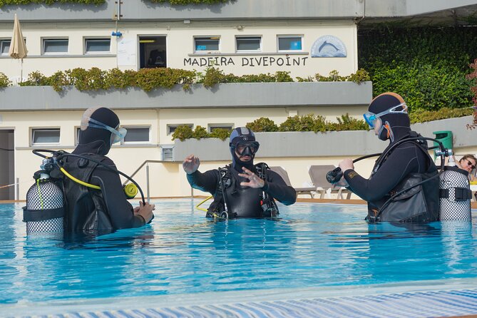 Funchal: Scuba Diving Experience for Beginners - Key things I’d circle before booking