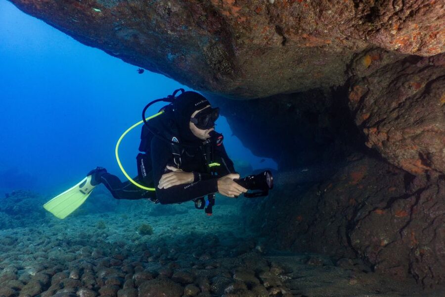 Funchal: Scuba Diving Experience for Beginners - Marine life viewing is not just sightseeing, it’s part of the training