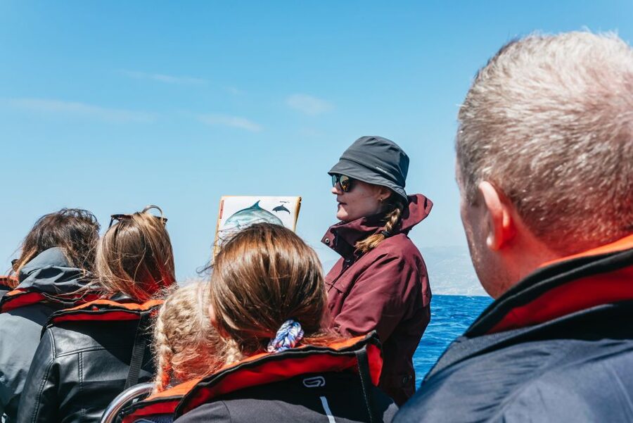 Funchal: Whale and Dolphin Watching Speed Boat Tour - Should you book the Funchal whale and dolphin speedboat tour?
