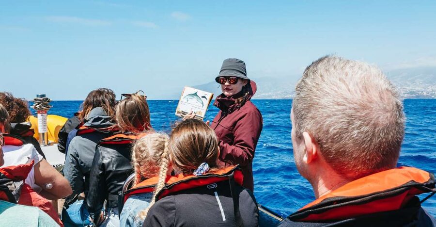 Funchal: Whale and Dolphin Watching Speed Boat Tour - Pier 8 in Funchal, then straight to the water