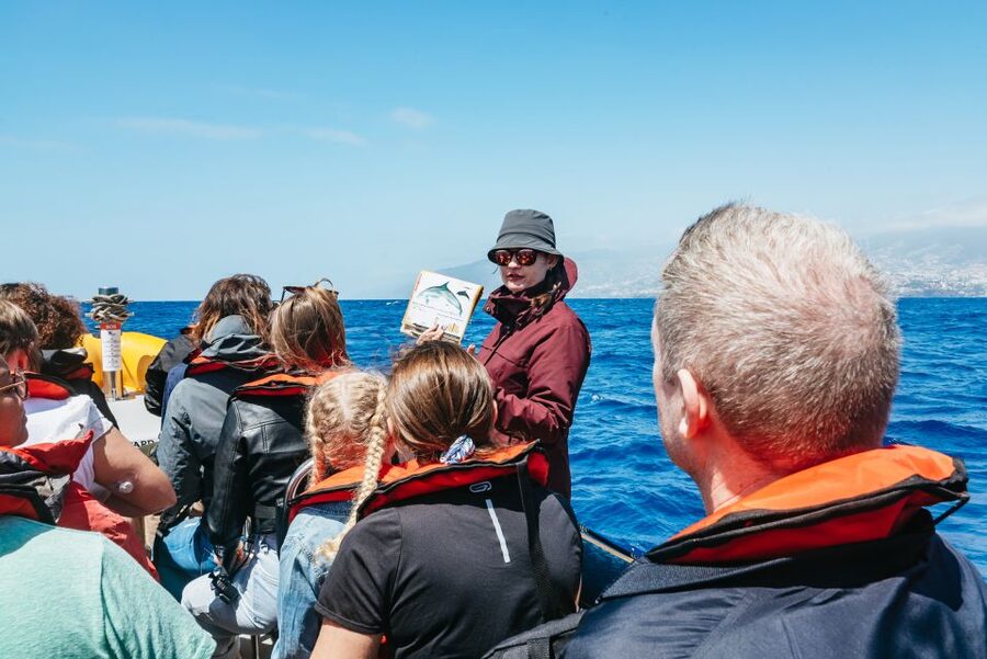 Funchal: Whale and Dolphin Watching Speed Boat Tour - The marine biologist briefing, where spotting gets easier