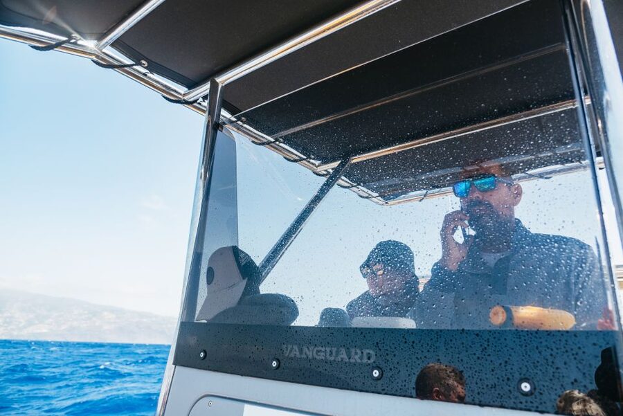 Funchal: Whale and Dolphin Watching Speed Boat Tour - Species sightings are wildlife, not a script