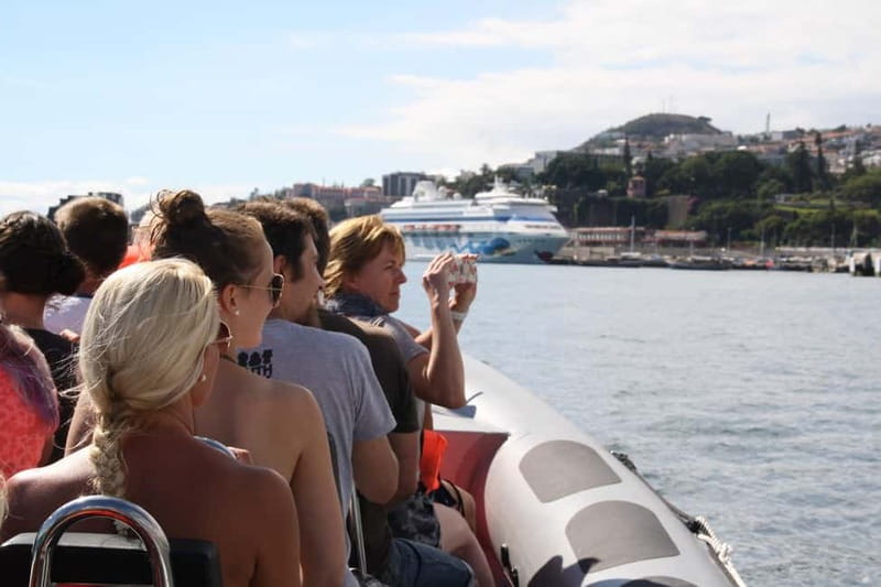 Funchal: Whale Watching and Swimming with Dolphins Cruise - From Store 35 to the Open Water: How the Tour Starts
