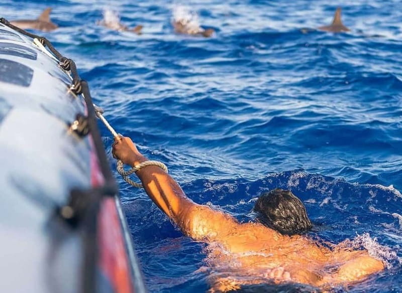 Funchal: Whale Watching and Swimming with Dolphins Cruise - Marine Biologist Talks: What the Team Really Adds