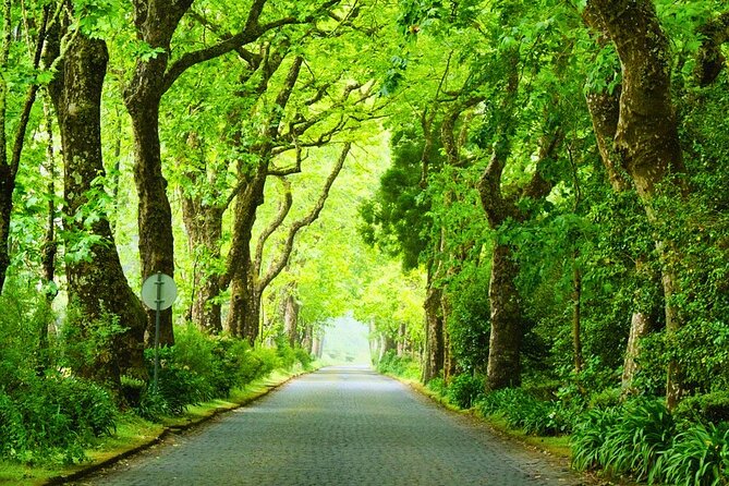 Furnas: Mystic Tour (w/Dinner) - Hot Springs - Key Things You’ll Notice on This Furnas Night Tour