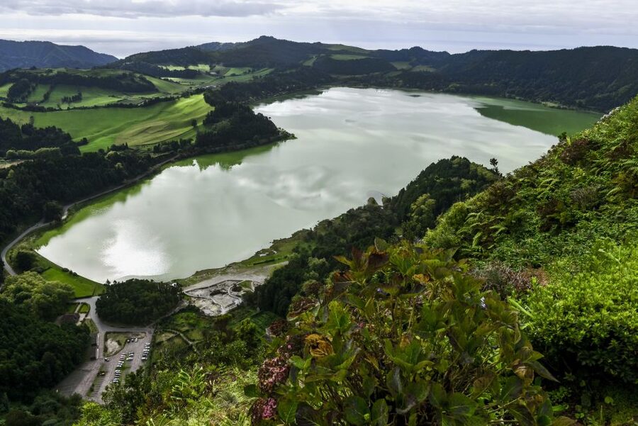 Furnas: Tea Plantations, Lake and Volcano Guided Tour - How The 8-Hour Day Runs, From 8:45 Pickup to East Side Drop-Off