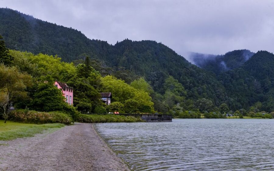 Furnas: Tea Plantations, Lake and Volcano Guided Tour - Pineapple Plantation Break: Snacks, Coffee, and Local Shopping