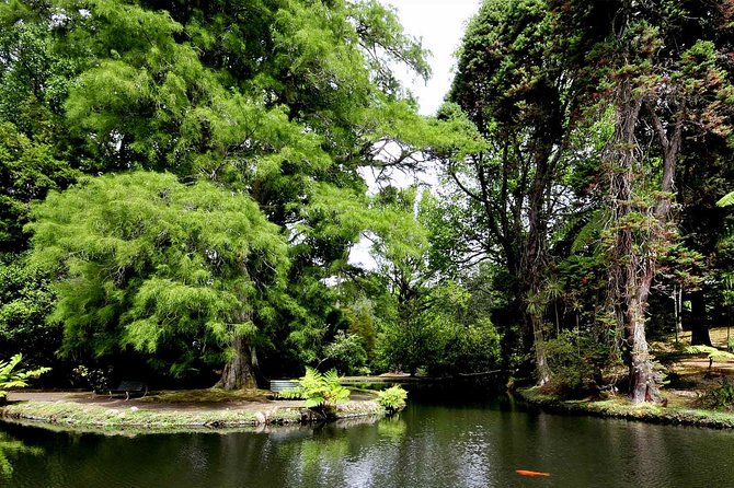 Furnas & Terra Nostra Park: Biologist-guided Botanic Tour +lunch - Furnas lunch and village steam: the cozido experience