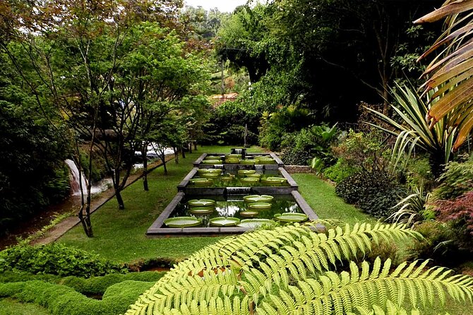 Furnas & Terra Nostra Park: Biologist-guided Botanic Tour +lunch - Price and value for a 6.5-hour small-group day