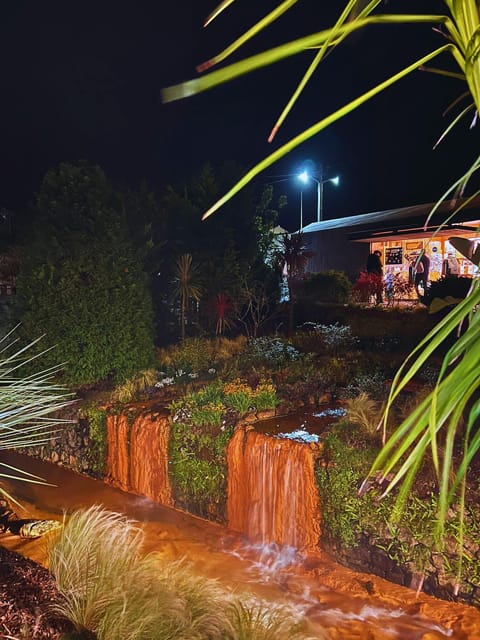 Furnas: the Mystic Tour (Dinner incl. + Hot Springs) - Who should book this tour, and who might skip it