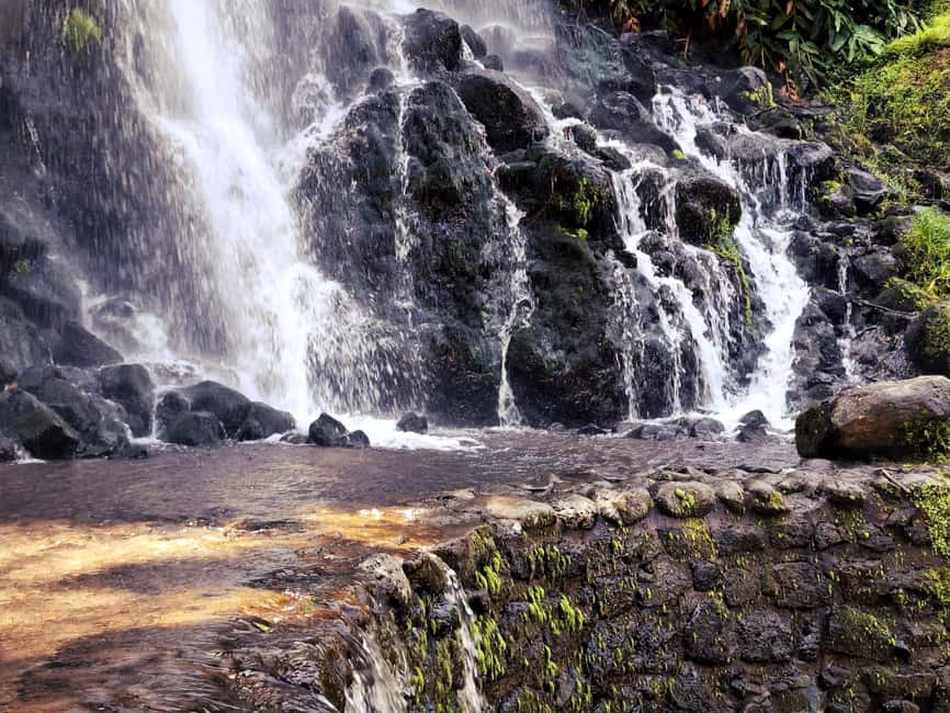 Furnas: Volcano Crater, Lake, Tea Plantation, and Waterfall - Why Furnas Feels Different Than Other Island Tours