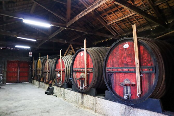 Genuine Douro Valley Tour: Visit 2 Wineries, Lunch & River Cruise - Quinta do Cume: Another Vineyard Personality, Another Tasting Story