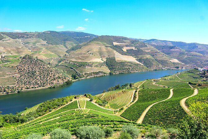 Genuine Douro Valley Tour: Visit 2 Wineries, Lunch & River Cruise - Quinta do Tedo: Guided Tasting With River Views and a Local Guide