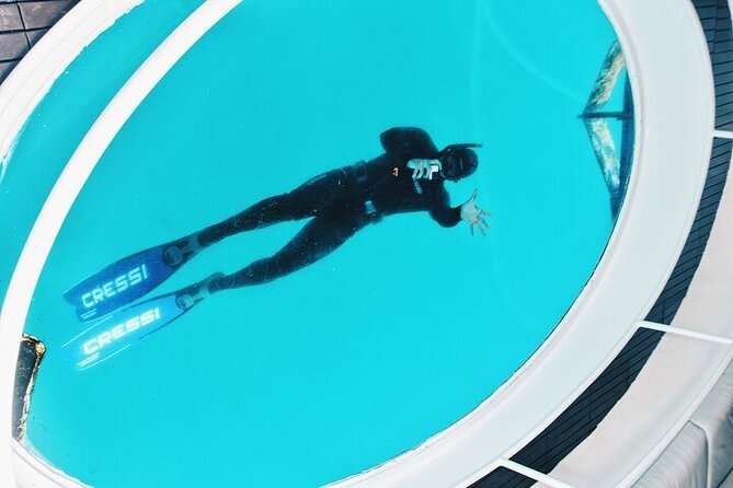 Glass Bottom Boat Tour & Snorkeling in São Miguel, Azores - Price and value: is $60.49 actually fair?
