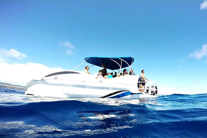 Glass Bottom Boat Tour & Snorkeling in São Miguel, Azores - Crew energy and the small-group vibe