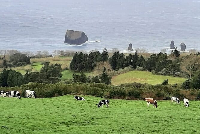 Guided Visit to the Crater and Volcano of Lagoa das Sete Cidades - Why Sete Cidades Crater Views Are the Main Reason to Book