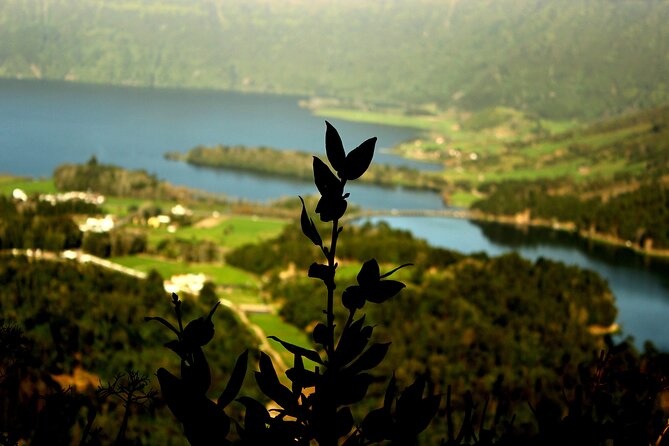 Half-Day 4x4 Tour to Lagoa das Sete Cidades - King’s View: The Iconic Rim Moment