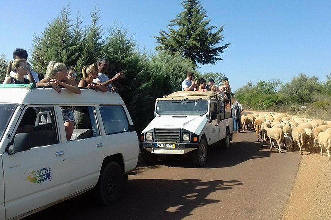 Half-Day Algarve Countryside and Villages Jeep Safari - Alte’s river swim and the cafe break that keeps things sane