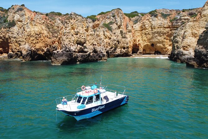 Half Day Cruise to Ponta da Piedade with Lunch and Drinks - A Quick Decision Guide: Should You Book This Half-Day Ponta da Piedade Cruise?
