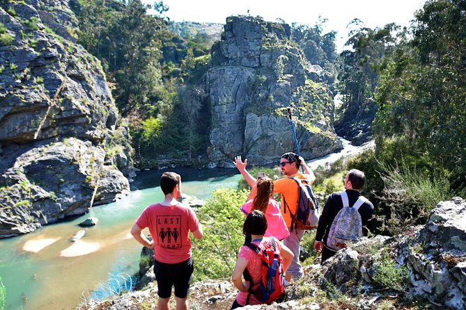 Half-day Hike & Picnic with Dog Love in Porto's Mountains - Key highlights you’ll feel fast