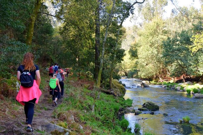 Half-day Hike & Picnic with Dog Love in Porto's Mountains - Getting Out of Porto: Sao Bento, the Train, and Why It Works
