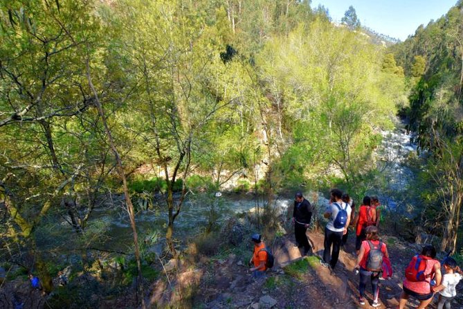 Half-day Hike & Picnic with Dog Love in Porto's Mountains - Picnic Lunch in the Mountains: Why the Food Changes the Day