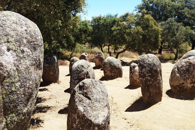 Half Day Megaliths Cromlech Tour from Evora by Archaeologists - Centro Interpretativo dos Almendres: use the free time well