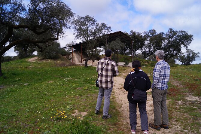 Half Day Megaliths Cromlech Tour from Evora by Archaeologists - How long the tour takes, and when to go