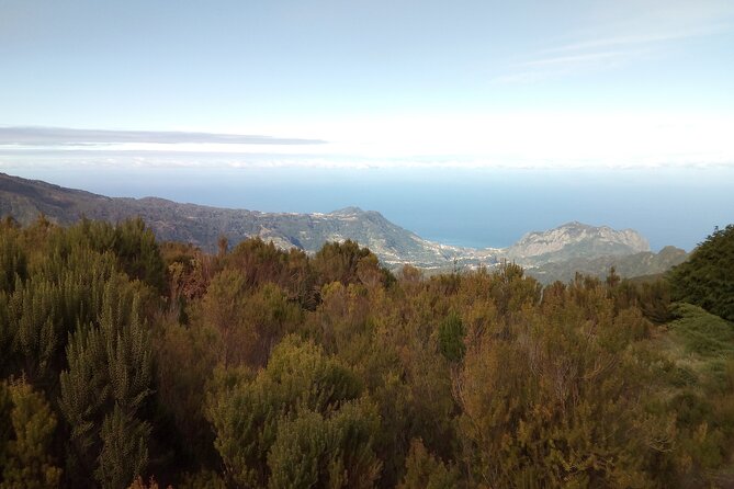Half-Day Private Sidecar Tour on Madeira’s West Coast - Calheta and the Golden Sand: Beach Time Plus a Rhum Factory Visit
