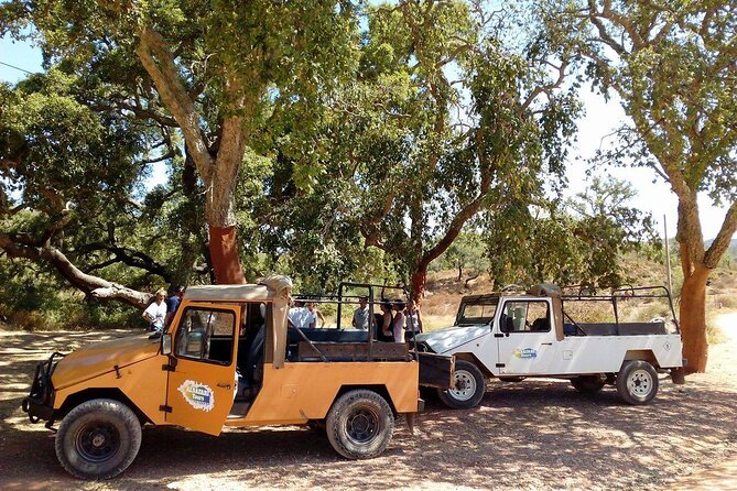 Half Day Safari Tour with Wine Tasting - Passing Paderne: A Small Village Stop That Adds Texture