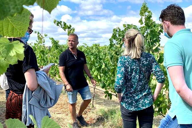 Half Day Safari Tour with Wine Tasting - Conqueiros Cork Trees: Short, Focused, and Surprisingly Practical