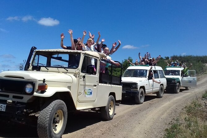 Half Day Safari Tour with Wine Tasting - Group Size and Language: Why It Can Affect Your Pace