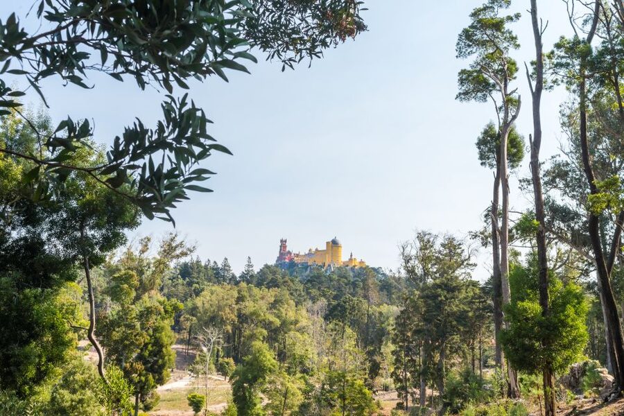 Half-Day Sintra Tour from Lisbon with Transfers - Price and Value: Is $176 Reasonable for This Half-Day Format?